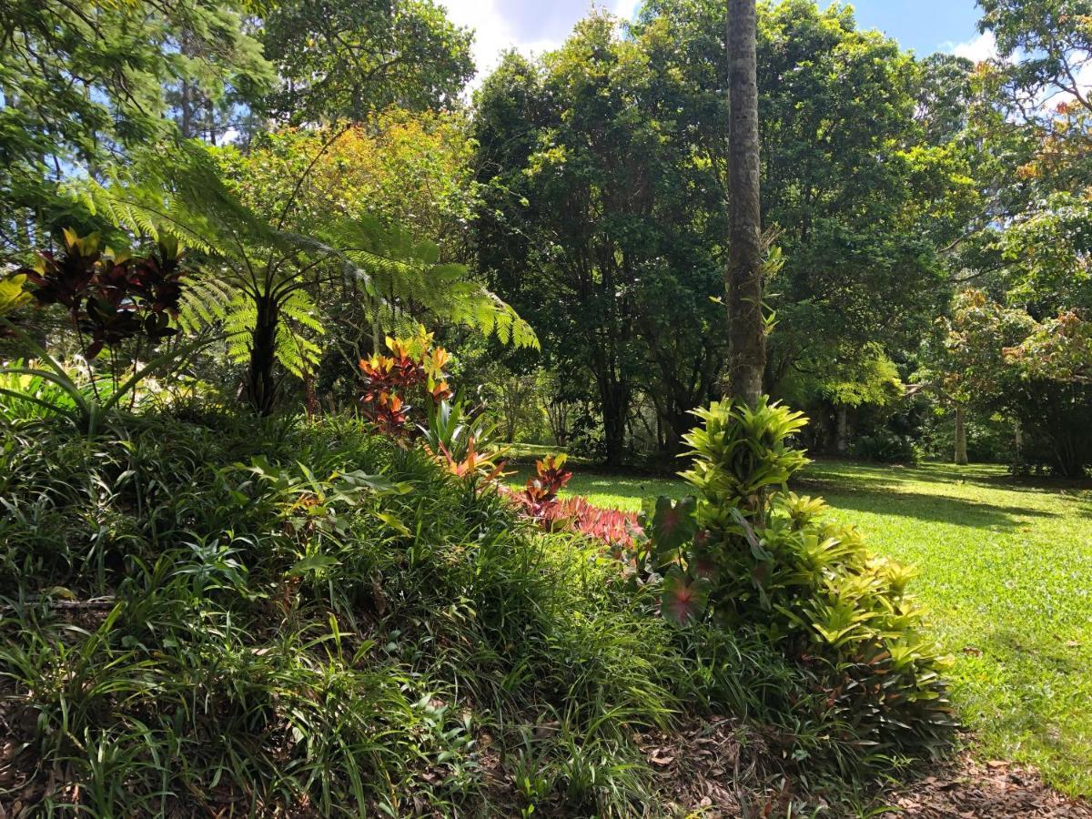 Honeybee House Villa Kuranda Exterior photo