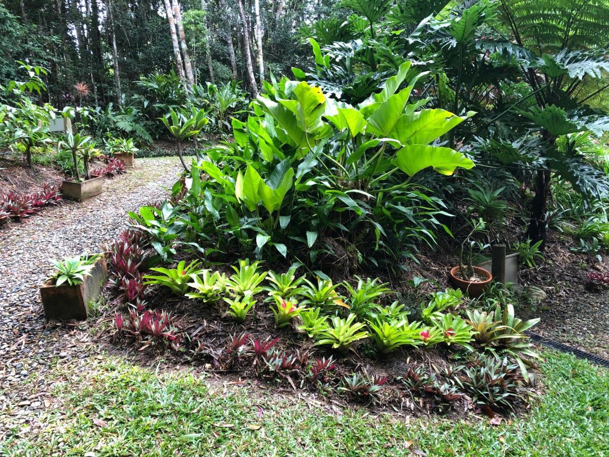 Honeybee House Villa Kuranda Exterior photo
