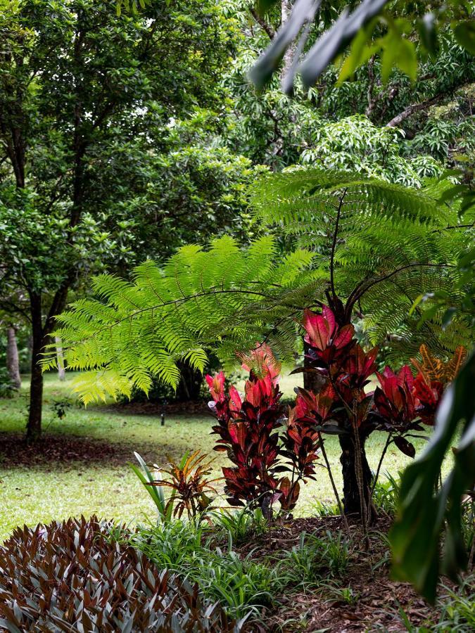 Honeybee House Villa Kuranda Exterior photo