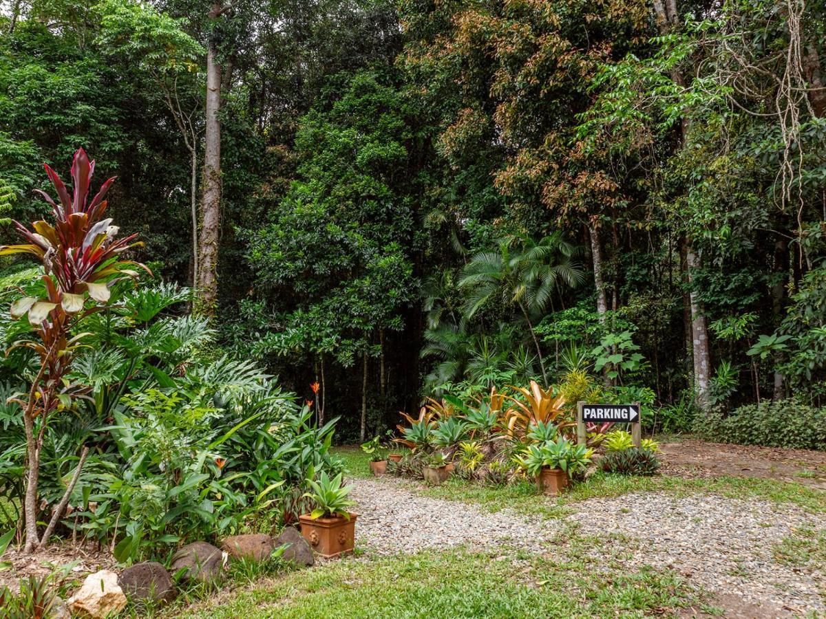 Honeybee House Villa Kuranda Exterior photo